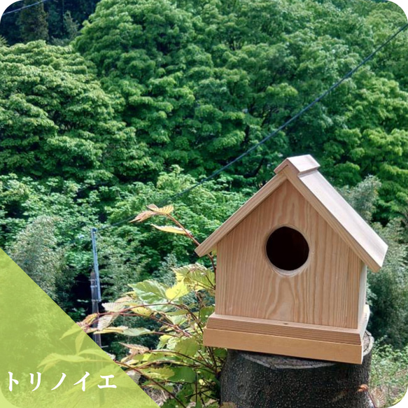 トリノイエ / 小鳥の巣箱 / 木製 1枚目の画像