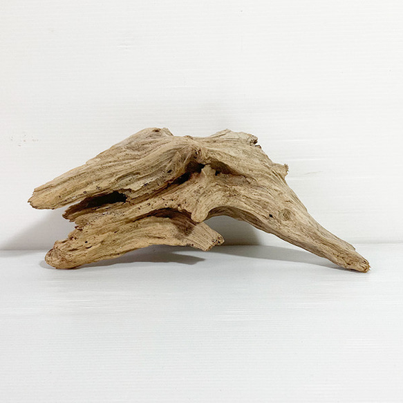 送料無料】流木 塊流木 インテリア 爬虫類 DIY 昆虫 ka0367 DIYパーツ