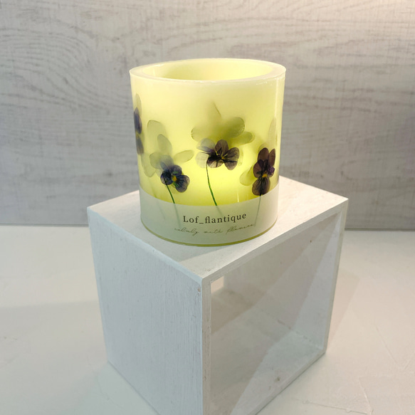 Botanical flower candle(ビオラ) LEDティーライトキャンドル付き 送料無料 5枚目の画像