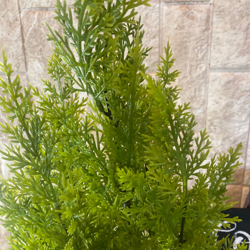 光触媒　人工観葉植物　ウォールグリーン　フェイクグリーン　ゴールドクレスト100 光触媒 人工観葉植物 ウォールグリーン フェイクグリーン
