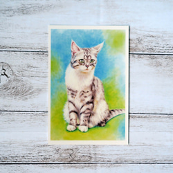 ポストカード猫パステル画３枚セット〈凛々しいお座り姿の猫様たち〉 4枚目の画像