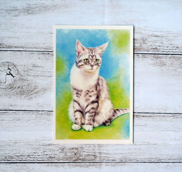 ポストカード猫パステル画３枚セット〈凛々しいお座り姿の猫様たち〉 4枚目の画像