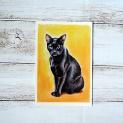ポストカード猫パステル画３枚セット〈凛々しいお座り姿の猫様たち〉 3枚目の画像