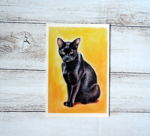 ポストカード猫パステル画３枚セット〈凛々しいお座り姿の猫様たち〉 3枚目の画像