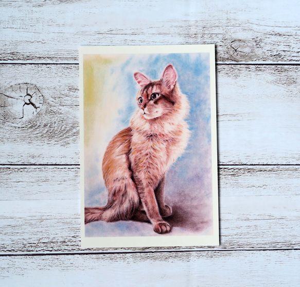 ポストカード猫パステル画３枚セット〈凛々しいお座り姿の猫様たち〉 2枚目の画像