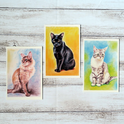 ポストカード猫パステル画３枚セット〈凛々しいお座り姿の猫様たち〉 1枚目の画像