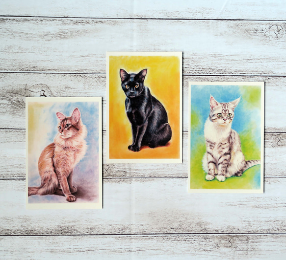ポストカード猫パステル画３枚セット〈凛々しいお座り姿の猫様たち〉 1枚目の画像
