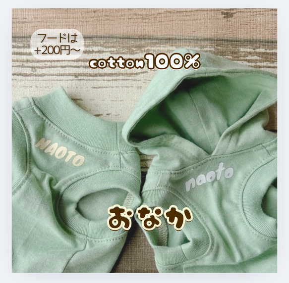 夏用❣️【くすみミント】犬服・名入れ無料・普通犬・ダックス・フレブル　パグ　cotton100% 2枚目の画像