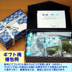 京都【苔テラリウム・手作りキット一式】日本庭園　父の日ギフト 11枚目の画像