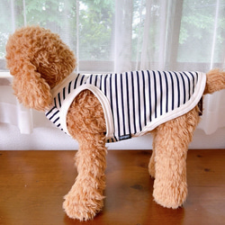 犬服　サマータンクトップ　ネイビー 5枚目の画像