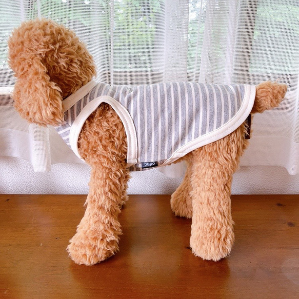 犬服　サマータンクトップ　グレー 5枚目の画像
