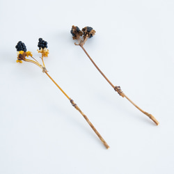 フラワーベース＆ドライフラワー　No.005 Stardust Gray 5枚目の画像