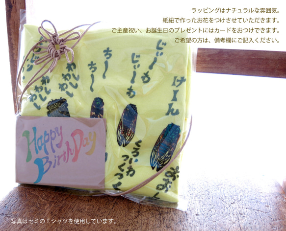 リアルかわいい昆虫Tシャツ　沖縄のセミ5種（アダルトサイズ・ライトイエロー） 8枚目の画像