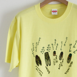 リアルかわいい昆虫Tシャツ　沖縄のセミ5種（アダルトサイズ・ライトイエロー） 1枚目の画像