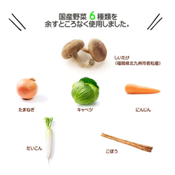 国産野菜だけでつくっただしパック 「 野菜だけのやさしい旨みだし 」離乳食・ヴィーガンの方にもオススメ　 5枚目の画像