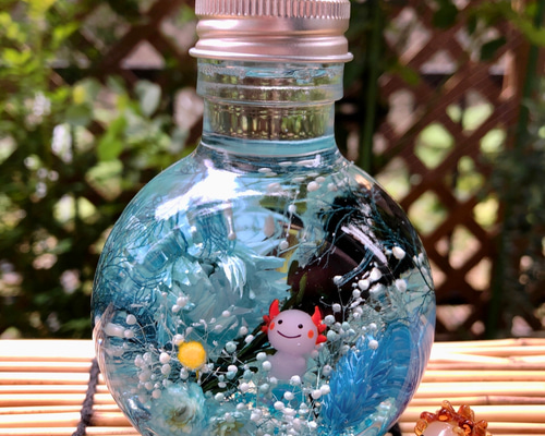 30ecf6a9413696902f462560647958  