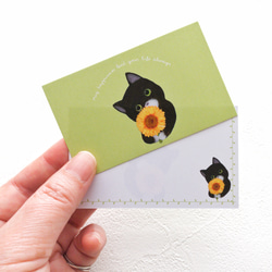 メッセージカード封筒セット（向日葵と子猫/2種類） 6枚目の画像