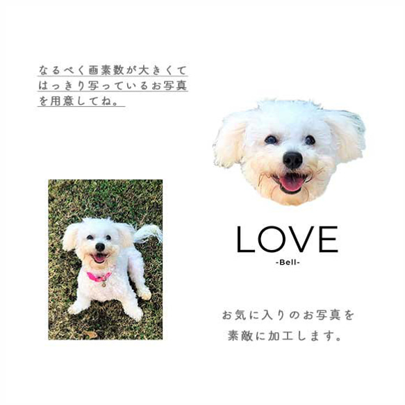 【受注制作・送料無料】うちの子あーと Tシャツ001/ LOVE / ペット・犬猫・うさぎ・カワウソなど動物写真 4枚目の画像