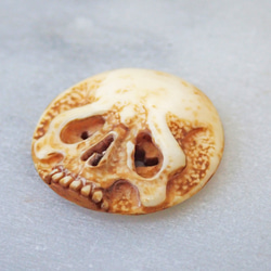 【店主コレクション放出品3】髑髏カメオボタン　牙製   野晒 髑髏 骷髅 骸骨 skull netsuke スカル 根付 2枚目の画像