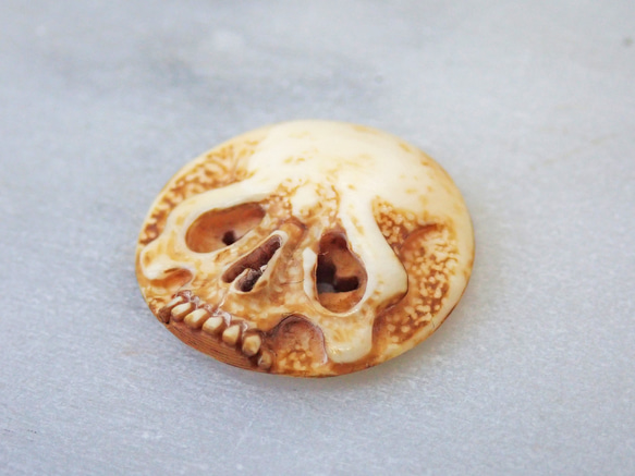 【店主コレクション放出品3】髑髏カメオボタン　牙製   野晒 髑髏 骷髅 骸骨 skull netsuke スカル 根付 2枚目の画像