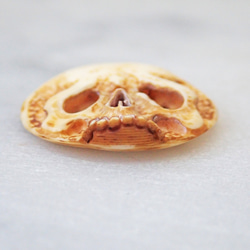 【店主コレクション放出品3】髑髏カメオボタン　牙製   野晒 髑髏 骷髅 骸骨 skull netsuke スカル 根付 4枚目の画像