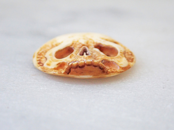 【店主コレクション放出品3】髑髏カメオボタン　牙製   野晒 髑髏 骷髅 骸骨 skull netsuke スカル 根付 4枚目の画像