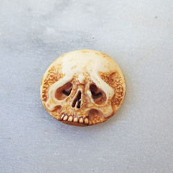 【店主コレクション放出品3】髑髏カメオボタン　牙製   野晒 髑髏 骷髅 骸骨 skull netsuke スカル 根付 1枚目の画像