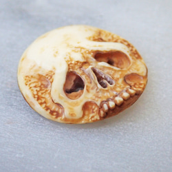 【店主コレクション放出品3】髑髏カメオボタン　牙製   野晒 髑髏 骷髅 骸骨 skull netsuke スカル 根付 3枚目の画像