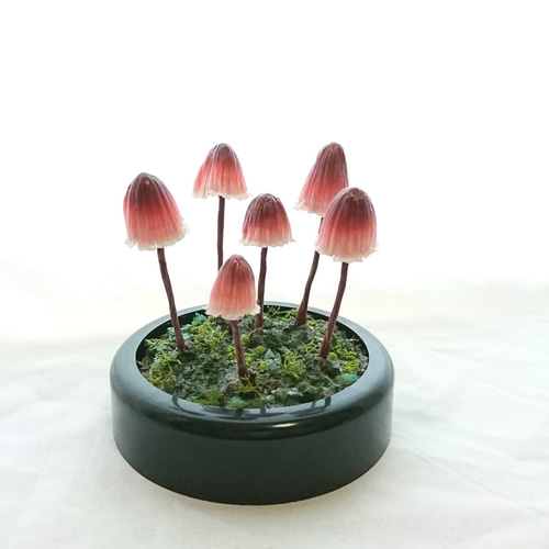 チシオタケ（無傷）のリラックスランプ スタンドライト・テーブル  