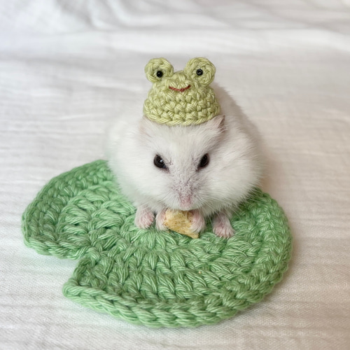 かえるさんの帽子 ハムスター・小動物・ぬいぐるみ ペット服