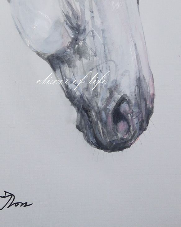 葦毛の馬のポートレート２０２２（高級水彩画用紙２４，５ｃｍ×３７ｃ、アクリル、墨） 