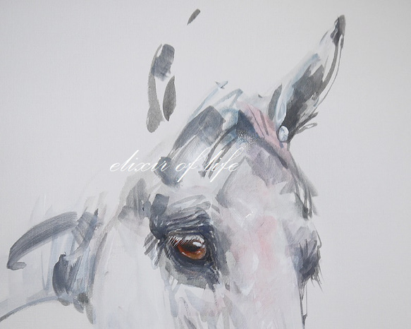 葦毛の馬のポートレート２０２２（高級水彩画用紙２４，５ｃｍ×３７ｃ、アクリル、墨） 