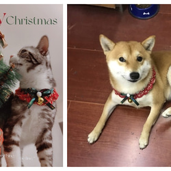 猫&犬&用襟型ペット首輪☆クリスマス鈴が蝶々リボン☆手編みニット付け襟風の首輪☆Creema春色新作2023 6枚目の画像