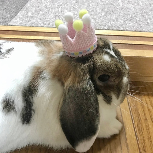 作家様　うさぎぬいぐるみ　花の冠付き 楽天市場】花兎 ぬいぐるみマスコット キタンクラブ 【全4種