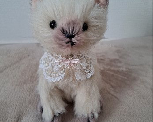 ジャム猫‼️ みんなの猫図鑑 - シャム(サイアミーズ)