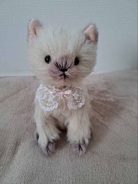 シャム猫ちゃん2 ぬいぐるみ Hiromi.M 通販 13959755｜Creema