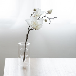 お手入れ不要な観葉植物】マグノリア（白木蓮インテリアフラワー