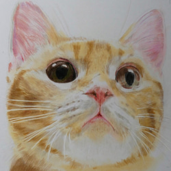 大好きだよ♡ペットの似顔絵　世界で一枚の色鉛筆アートを！ 3枚目の画像