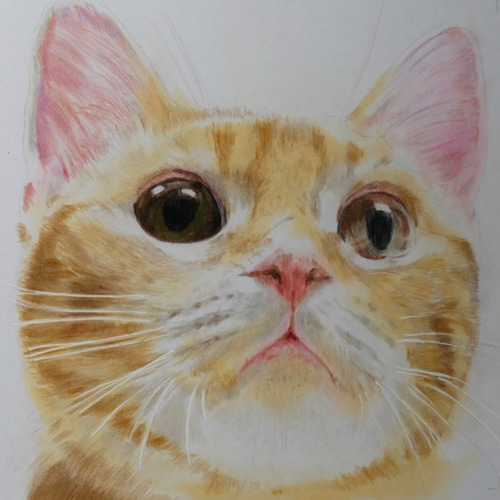 大好きだよ♡ペットの似顔絵 世界で一枚の色鉛筆アートを