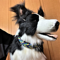 [キット]パラコード#171マクラメ編み ターコイズ・ライトグリーン・紫と黒の中型・大型犬首輪 10枚目の画像