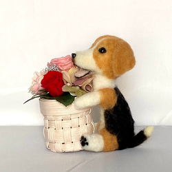 花かご＆わんちゃん　ビーグル犬　プリザーブドフラワー/フラワーアレンジメント　花　羊毛フェルト　犬　プレゼント 3枚目の画像