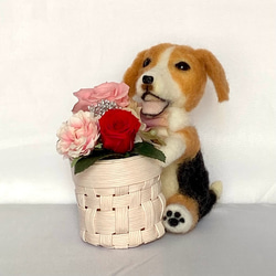 花かご＆わんちゃん　ビーグル犬　プリザーブドフラワー/フラワーアレンジメント　花　羊毛フェルト　犬　プレゼント 1枚目の画像