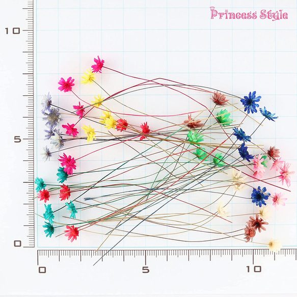スターフラワー レジン封入ハンドメイド用 アソート 通常サイズ 枝付き 3枚目の画像