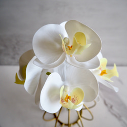 【胡蝶蘭】setコロンと丸いゴールドワイヤーフラワーベースの投げ入れ 4枚目の画像