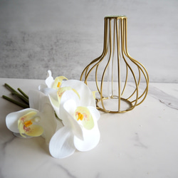 【胡蝶蘭】setコロンと丸いゴールドワイヤーフラワーベースの投げ入れ 7枚目の画像