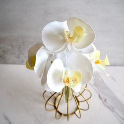 【胡蝶蘭】setコロンと丸いゴールドワイヤーフラワーベースの投げ入れ 3枚目の画像