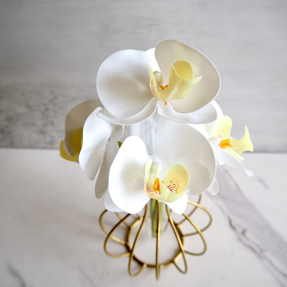 【胡蝶蘭】setコロンと丸いゴールドワイヤーフラワーベースの投げ入れ 3枚目の画像