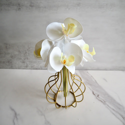 【胡蝶蘭】setコロンと丸いゴールドワイヤーフラワーベースの投げ入れ 2枚目の画像