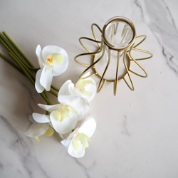 【胡蝶蘭】setコロンと丸いゴールドワイヤーフラワーベースの投げ入れ 5枚目の画像