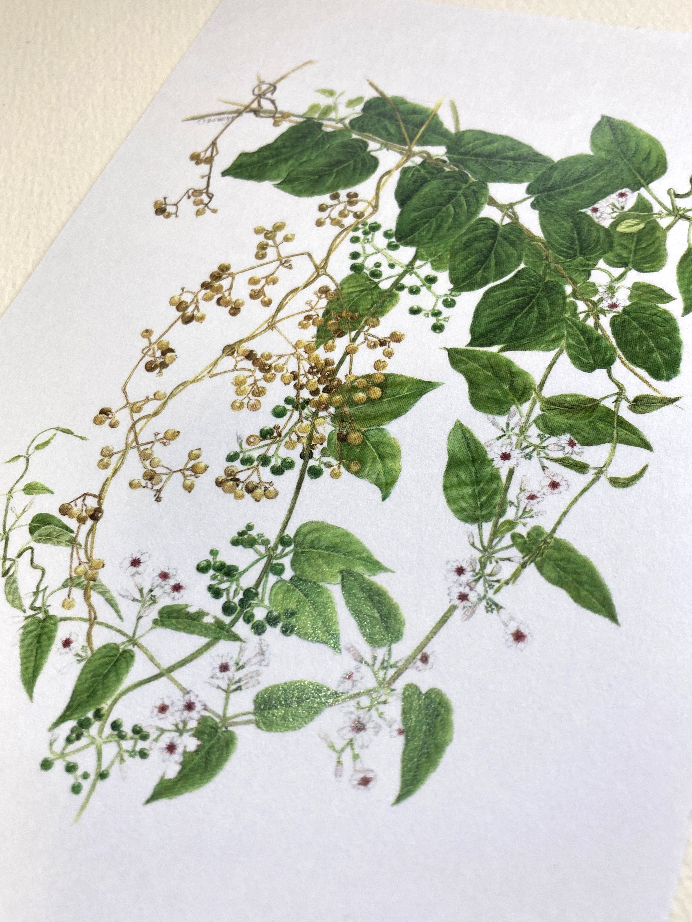 048.049.050以外のカードです バラ売り❌